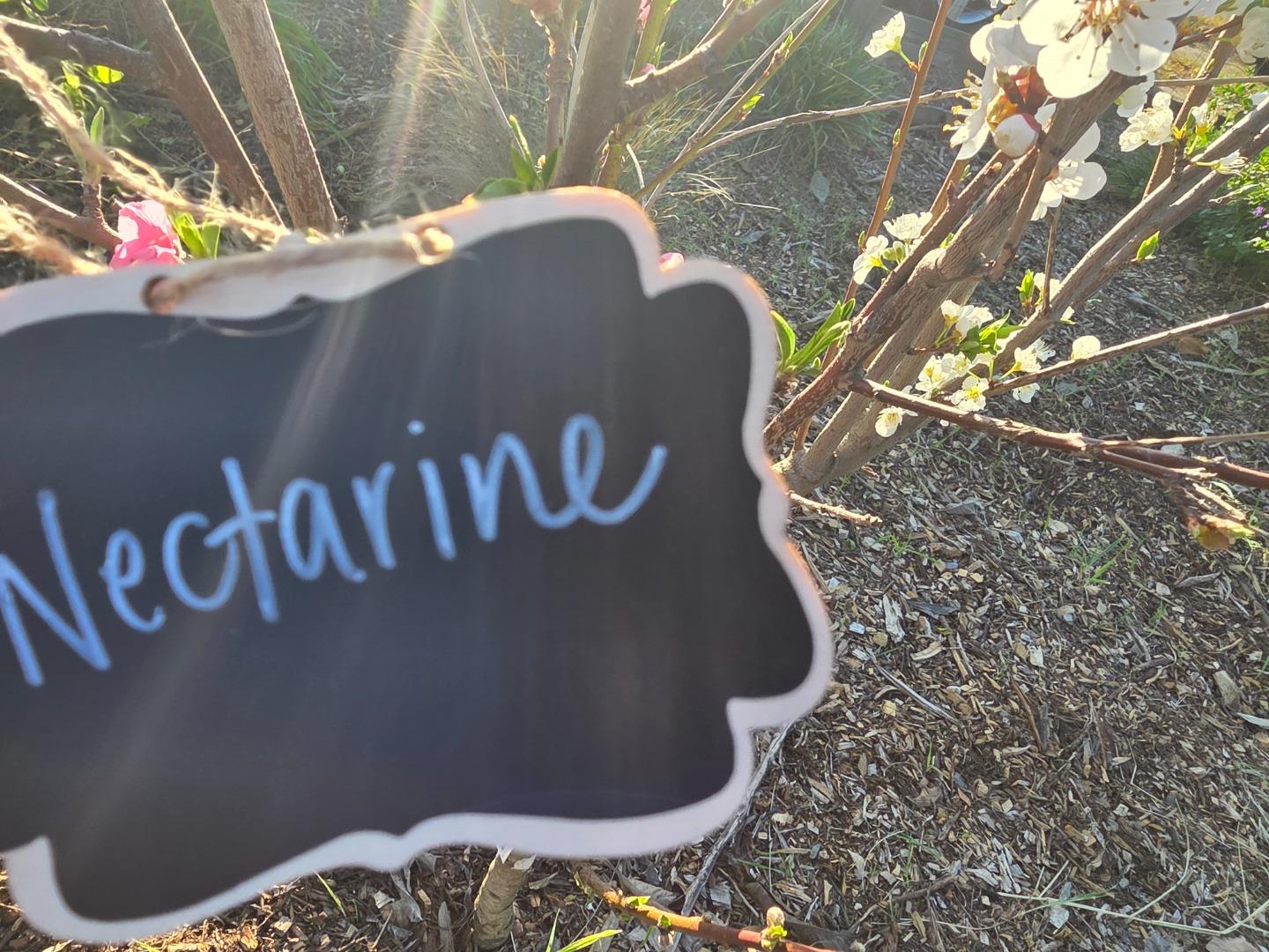 Detail Gallery Image 49 of 52 For 14200 Sycamore Ave, San Martin,  CA 95046 - 2 Beds | 1/1 Baths