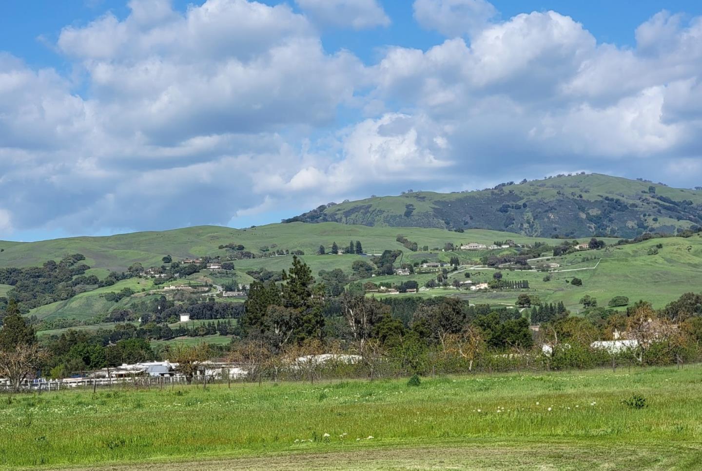 Detail Gallery Image 6 of 52 For 14200 Sycamore Ave, San Martin,  CA 95046 - 2 Beds | 1/1 Baths