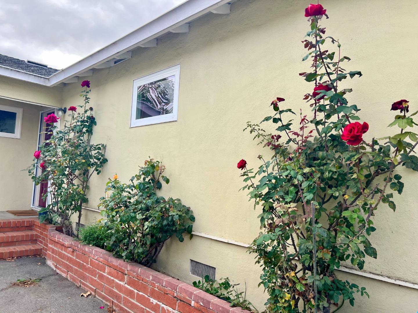 Detail Gallery Image 31 of 44 For 127 22nd Ave, San Mateo,  CA 94403 - 2 Beds | 1 Baths