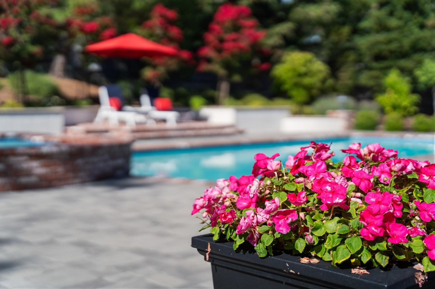 Detail Gallery Image 50 of 81 For 15212 Janor Ct, Monte Sereno,  CA 95030 - 4 Beds | 3 Baths