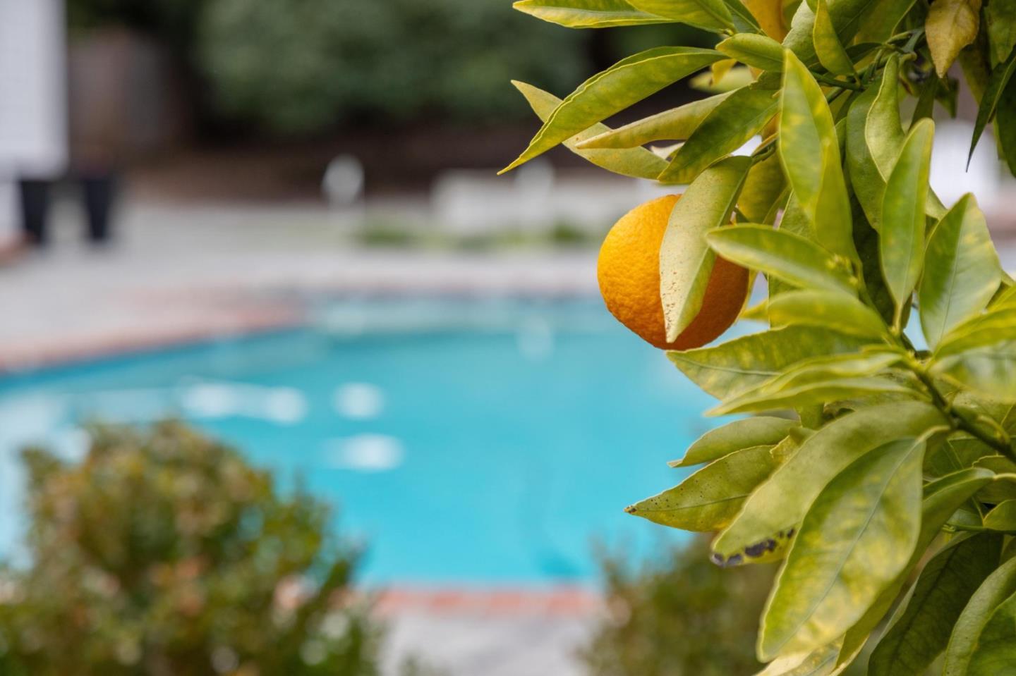 Detail Gallery Image 63 of 81 For 15212 Janor Ct, Monte Sereno,  CA 95030 - 4 Beds | 3 Baths