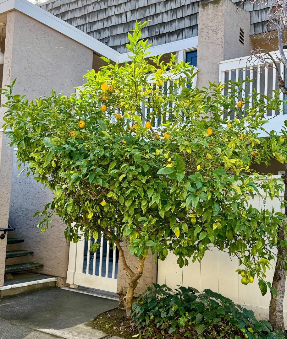 Detail Gallery Image 37 of 37 For 675 Sharon Park Dr #144,  Menlo Park,  CA 94025 - 2 Beds | 2 Baths