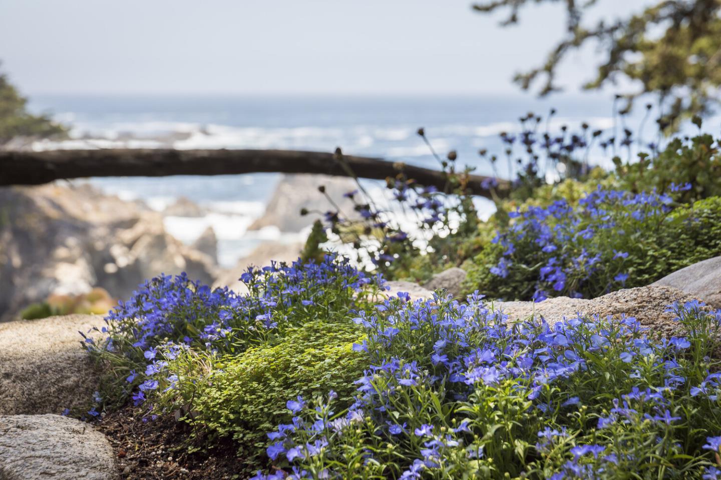 Detail Gallery Image 96 of 100 For 157, 163 Spindrift Rd, Carmel,  CA 93923 - 13 Beds | 13/4 Baths