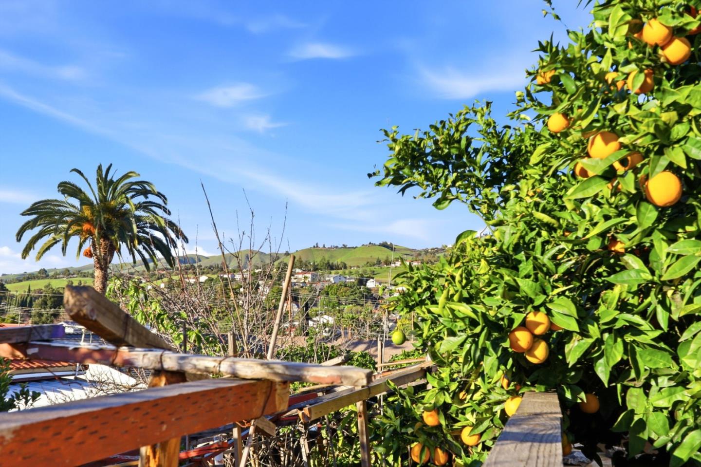 Detail Gallery Image 43 of 45 For 3561 Story Rd, San Jose,  CA 95127 - 4 Beds | 2 Baths