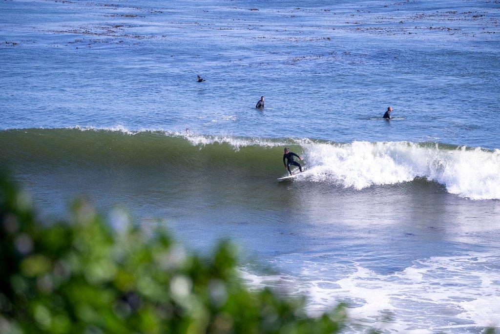 Detail Gallery Image 53 of 53 For 318 Park Ave, Capitola,  CA 95010 - – Beds | – Baths