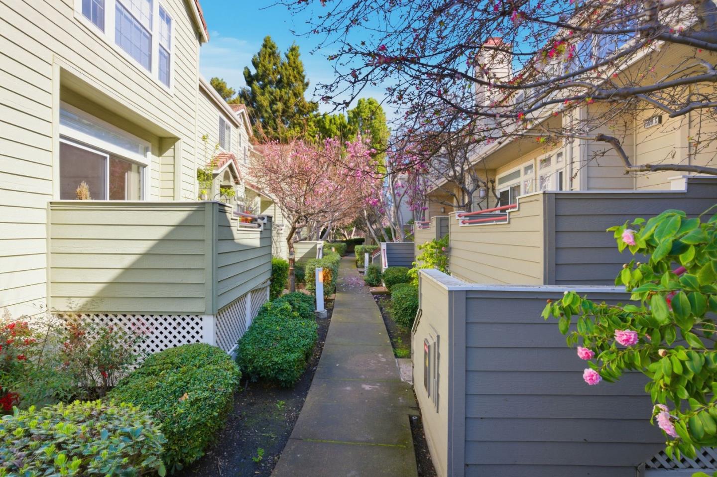 Detail Gallery Image 2 of 62 For 509 Porpoise Bay Ter #C,  Sunnyvale,  CA 94089 - 3 Beds | 2/1 Baths