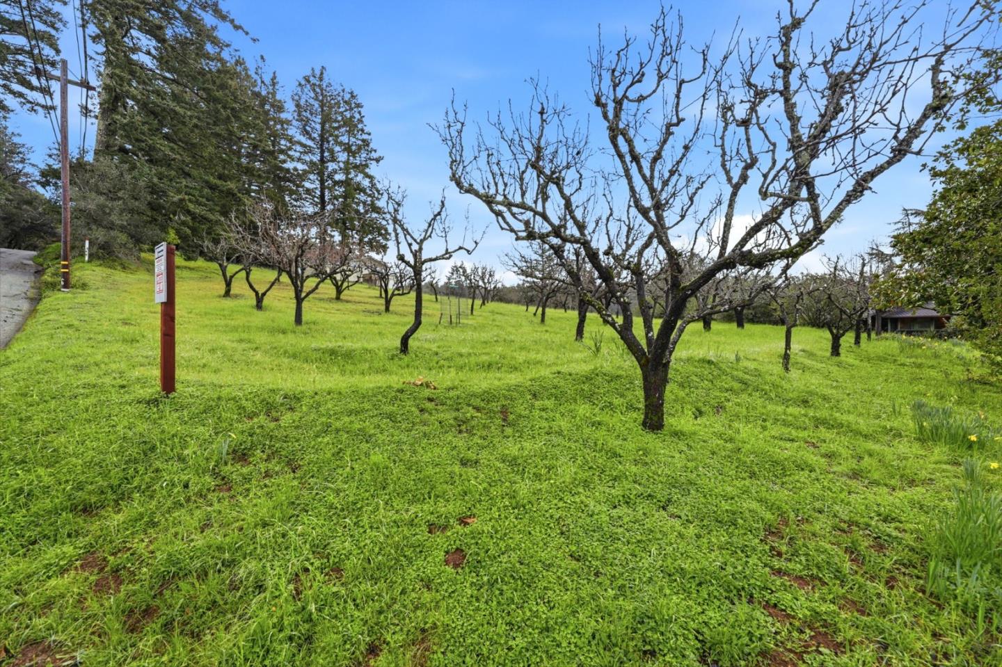 Detail Gallery Image 31 of 46 For 24733 Loma Prieta Ave, Los Gatos,  CA 95033 - 4 Beds | 3/1 Baths