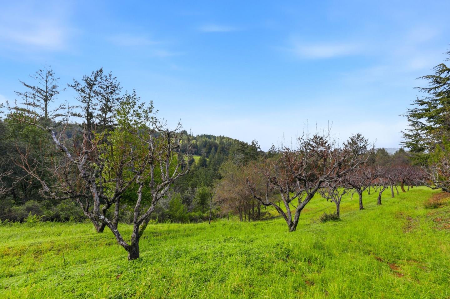 Detail Gallery Image 32 of 46 For 24733 Loma Prieta Ave, Los Gatos,  CA 95033 - 4 Beds | 3/1 Baths