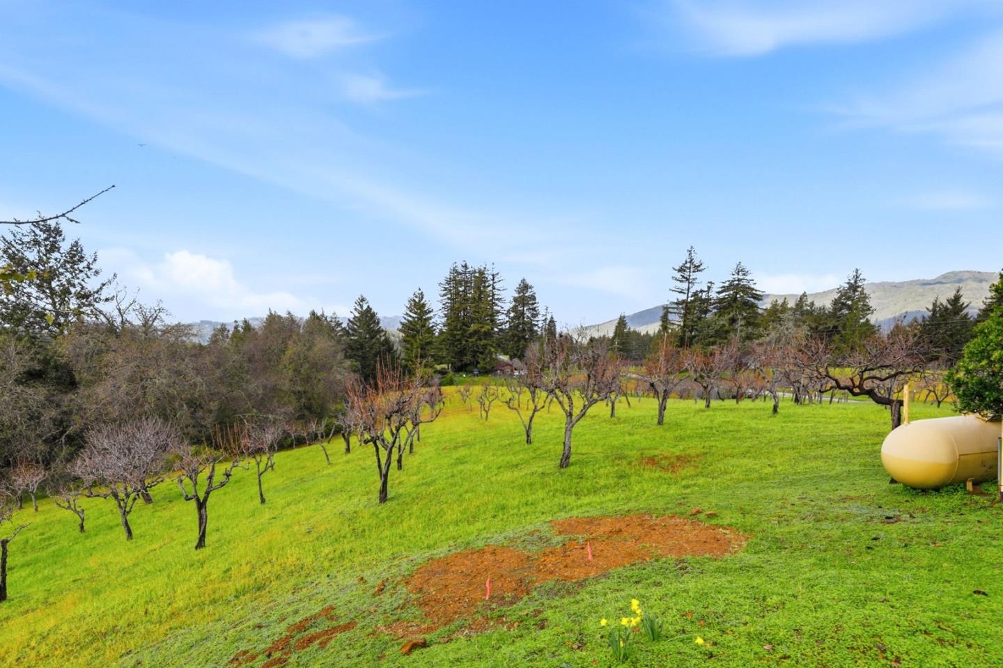 Detail Gallery Image 33 of 46 For 24733 Loma Prieta Ave, Los Gatos,  CA 95033 - 4 Beds | 3/1 Baths