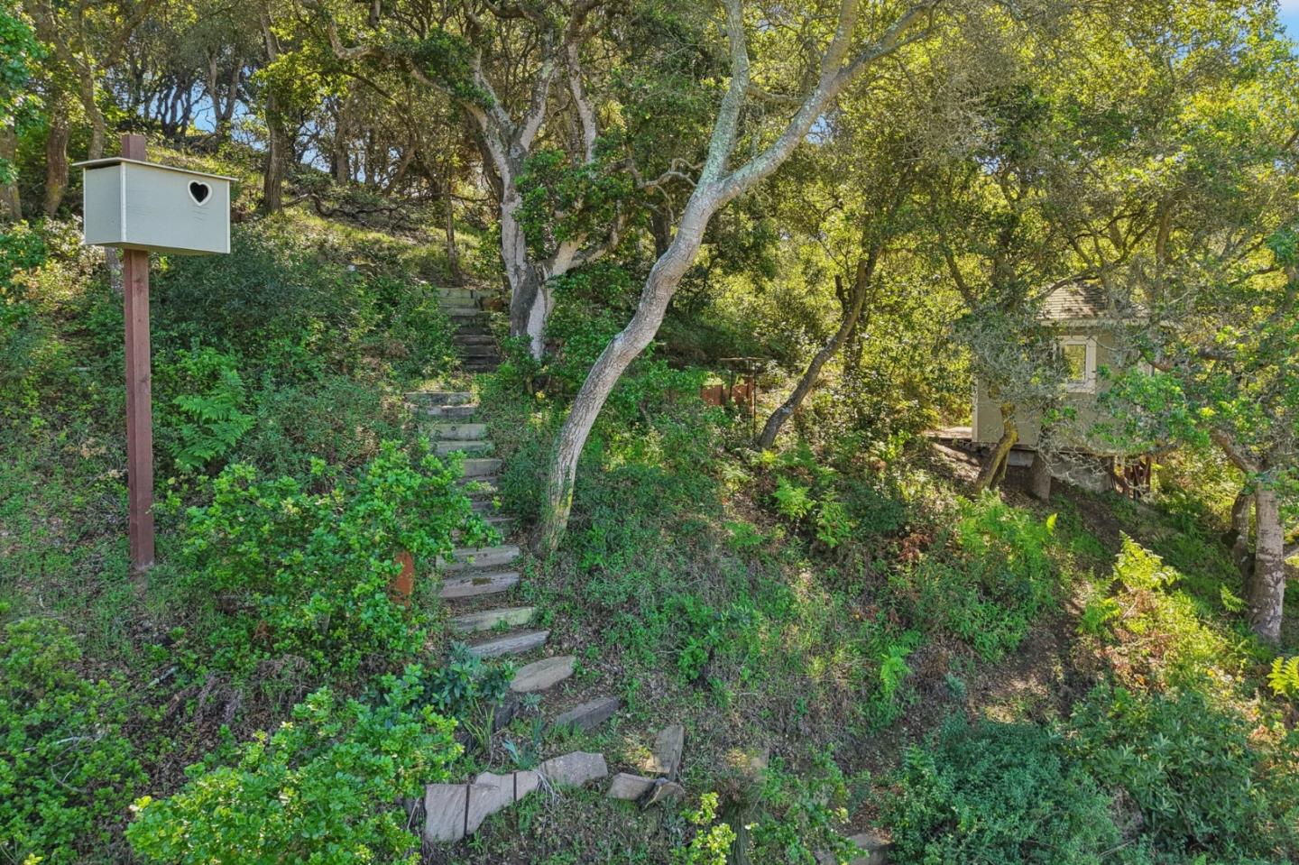 Detail Gallery Image 56 of 57 For 122 Strawberry Canyon Rd, Royal Oaks,  CA 95076 - 3 Beds | 1 Baths