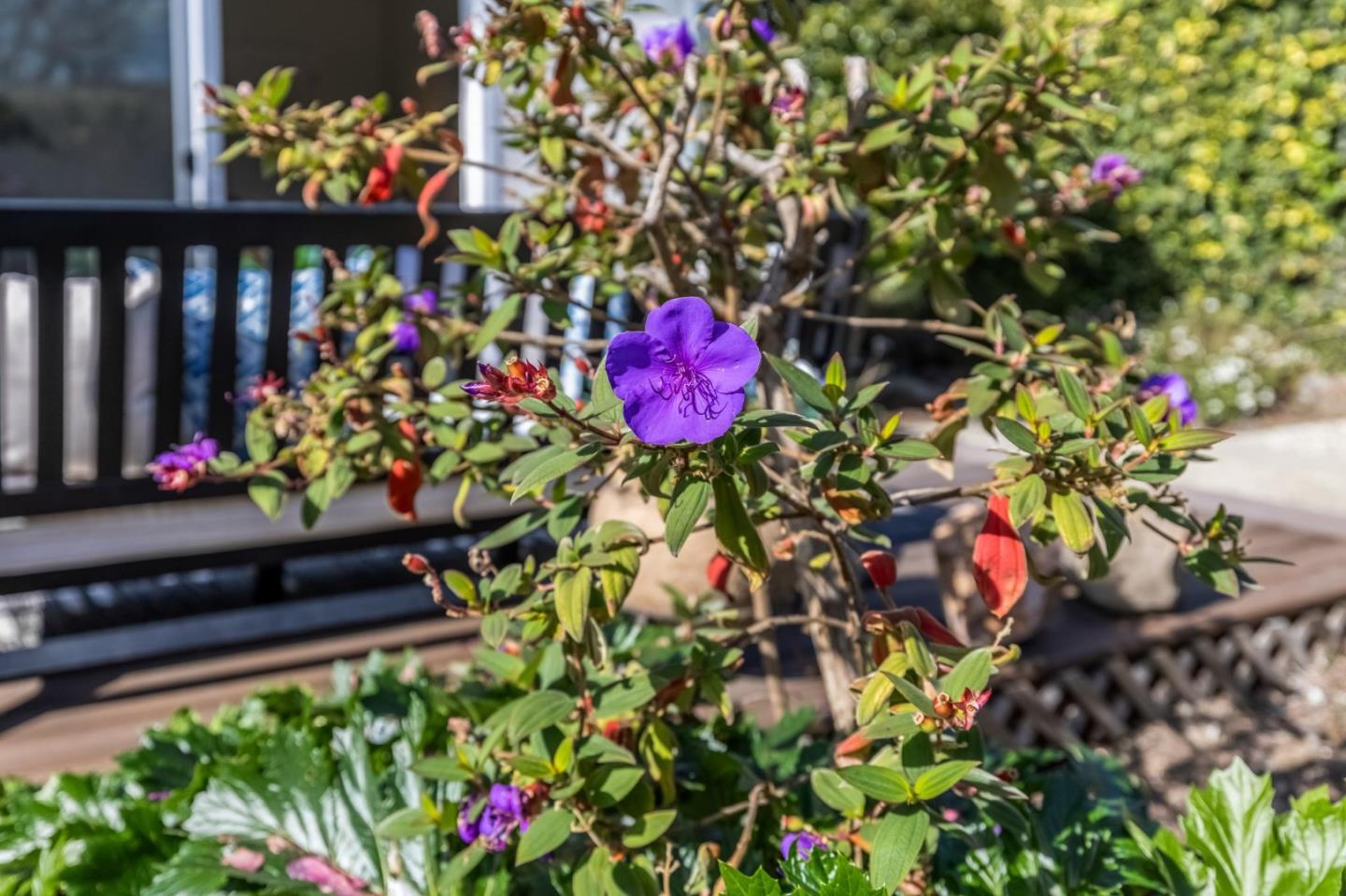 Detail Gallery Image 38 of 43 For 4845 Los Arboles Pl, Fremont,  CA 94536 - 2 Beds | 2 Baths