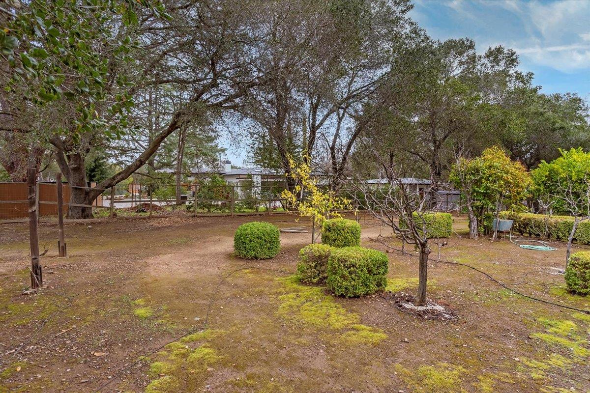 Detail Gallery Image 38 of 60 For 19401 San Marcos Rd, Saratoga,  CA 95070 - 5 Beds | 5 Baths