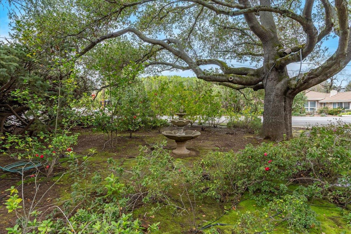 Detail Gallery Image 40 of 60 For 19401 San Marcos Rd, Saratoga,  CA 95070 - 5 Beds | 5 Baths