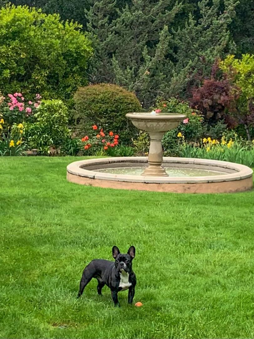 Detail Gallery Image 46 of 60 For 19401 San Marcos Rd, Saratoga,  CA 95070 - 5 Beds | 5 Baths