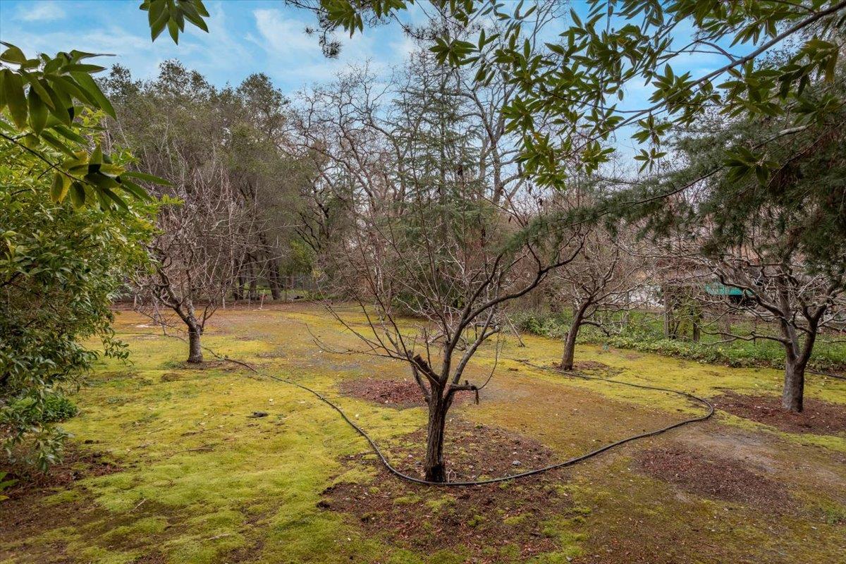 Detail Gallery Image 51 of 60 For 19401 San Marcos Rd, Saratoga,  CA 95070 - 5 Beds | 5 Baths