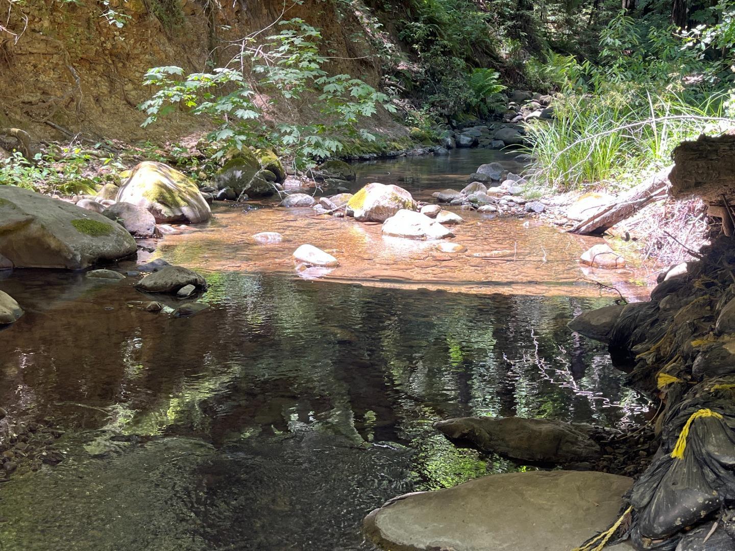 Detail Gallery Image 11 of 44 For 0 Deer Creek (Lot 21), Boulder Creek,  CA 95006 - – Beds | – Baths