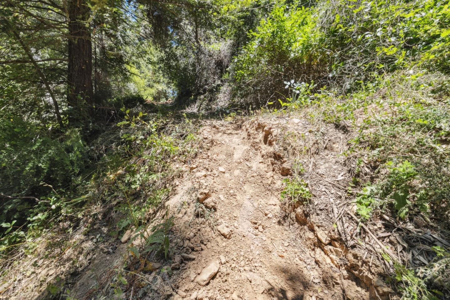 Detail Gallery Image 34 of 44 For 0 Deer Creek (Lot 21), Boulder Creek,  CA 95006 - – Beds | – Baths