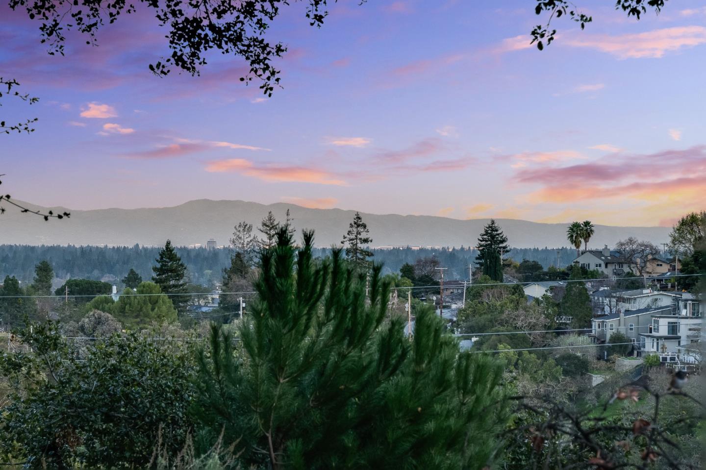 Detail Gallery Image 59 of 66 For 3338 Oak Knoll Dr, Redwood City,  CA 94062 - 4 Beds | 3 Baths