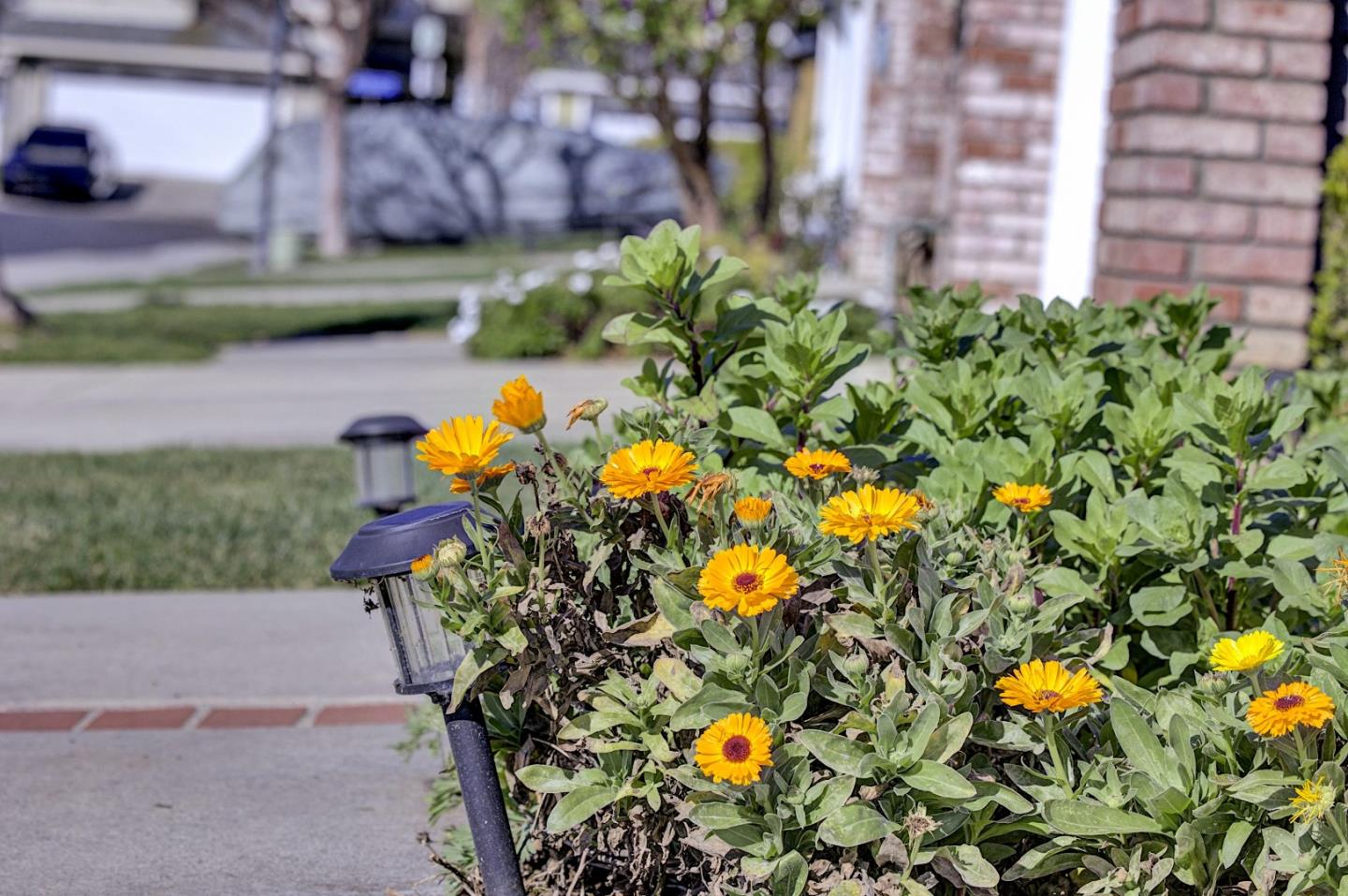 Detail Gallery Image 5 of 41 For 5254 Country Forge Ln, San Jose,  CA 95136 - 3 Beds | 2/1 Baths