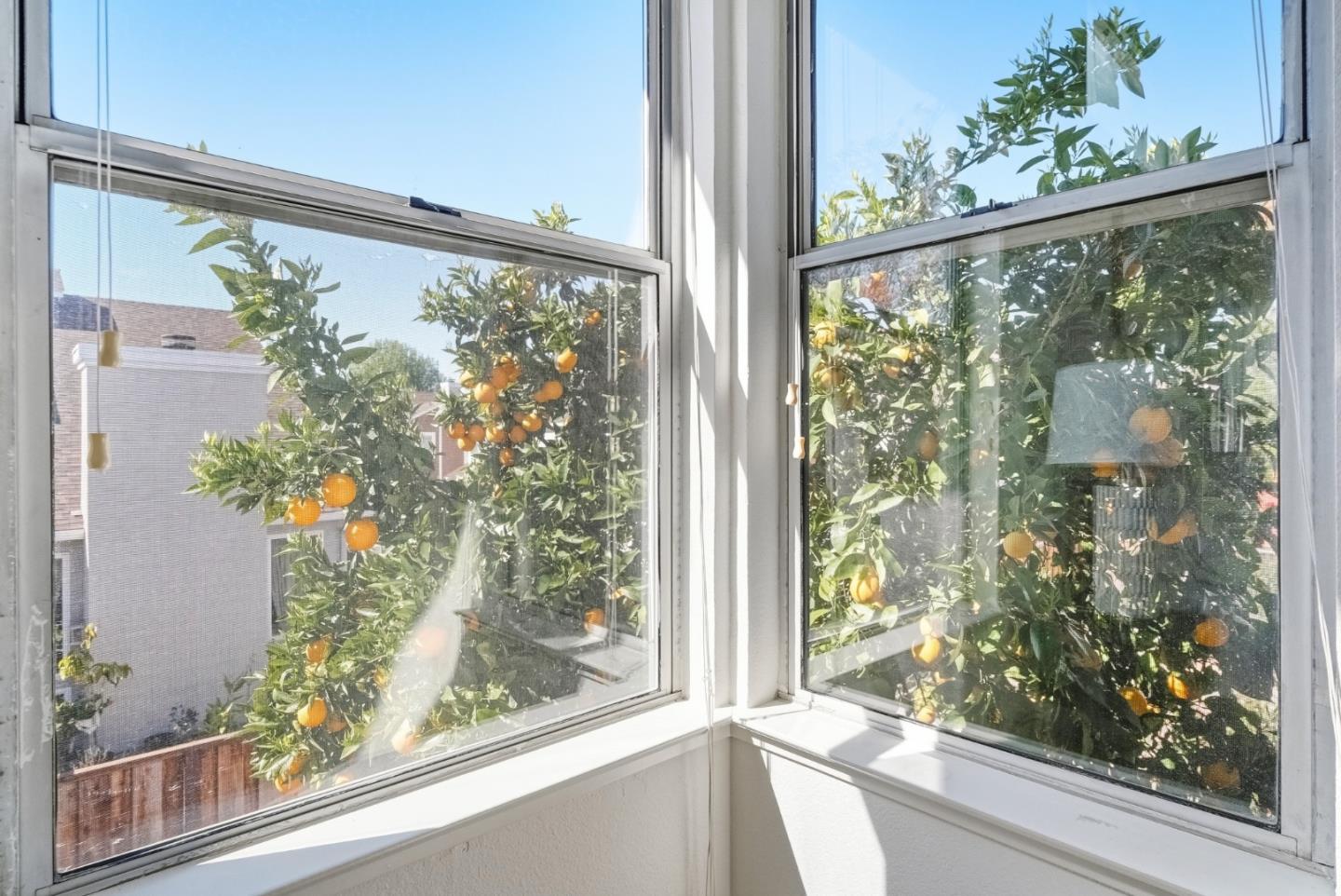 Detail Gallery Image 22 of 56 For 1608 Mission Springs Cir, San Jose,  CA 95131 - 4 Beds | 2/1 Baths