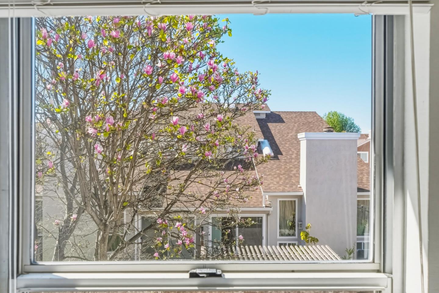 Detail Gallery Image 39 of 56 For 1608 Mission Springs Cir, San Jose,  CA 95131 - 4 Beds | 2/1 Baths