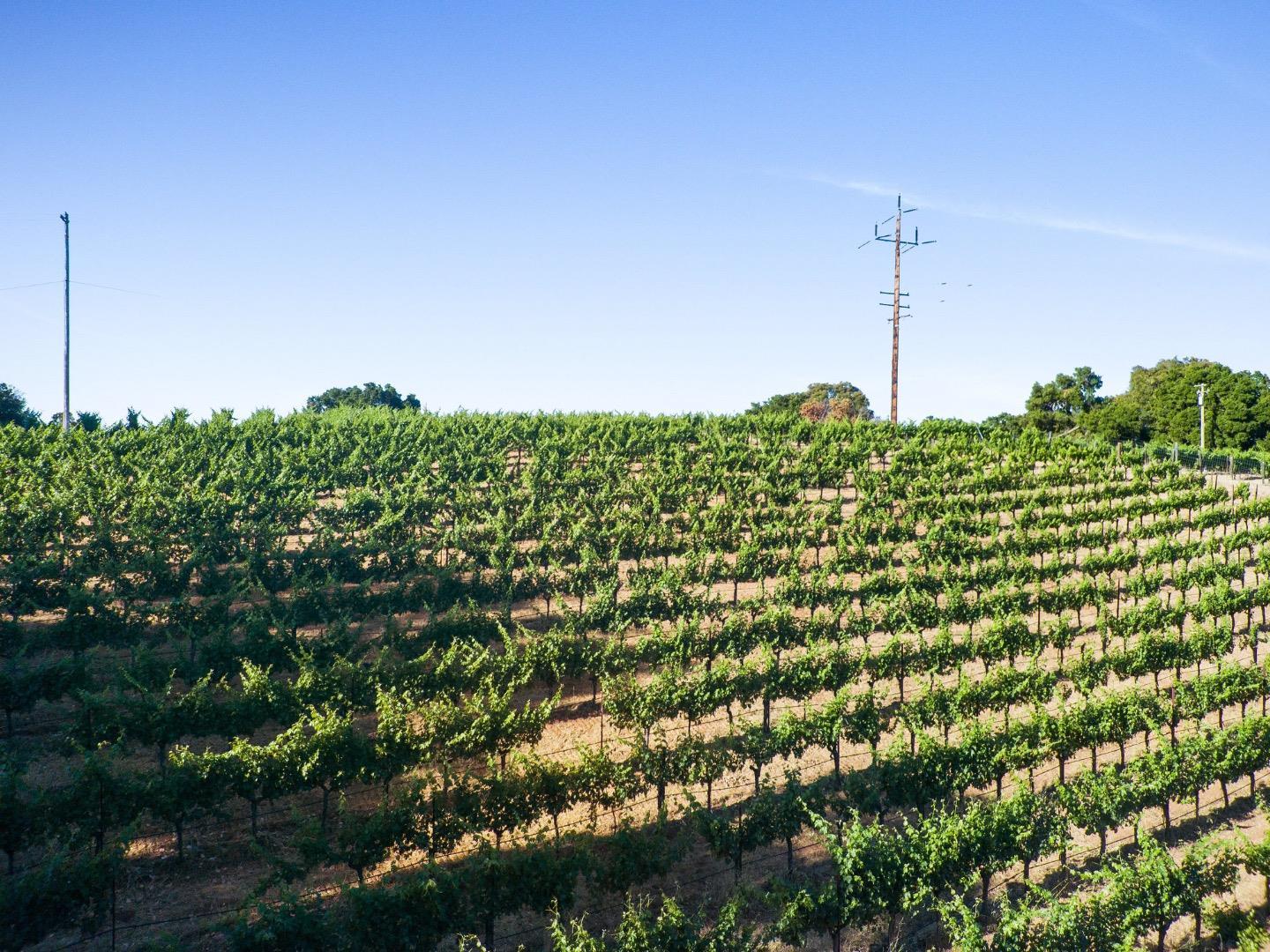 Detail Gallery Image 74 of 81 For 15060 Montebello Rd, Cupertino,  CA 95014 - 3 Beds | 3 Baths