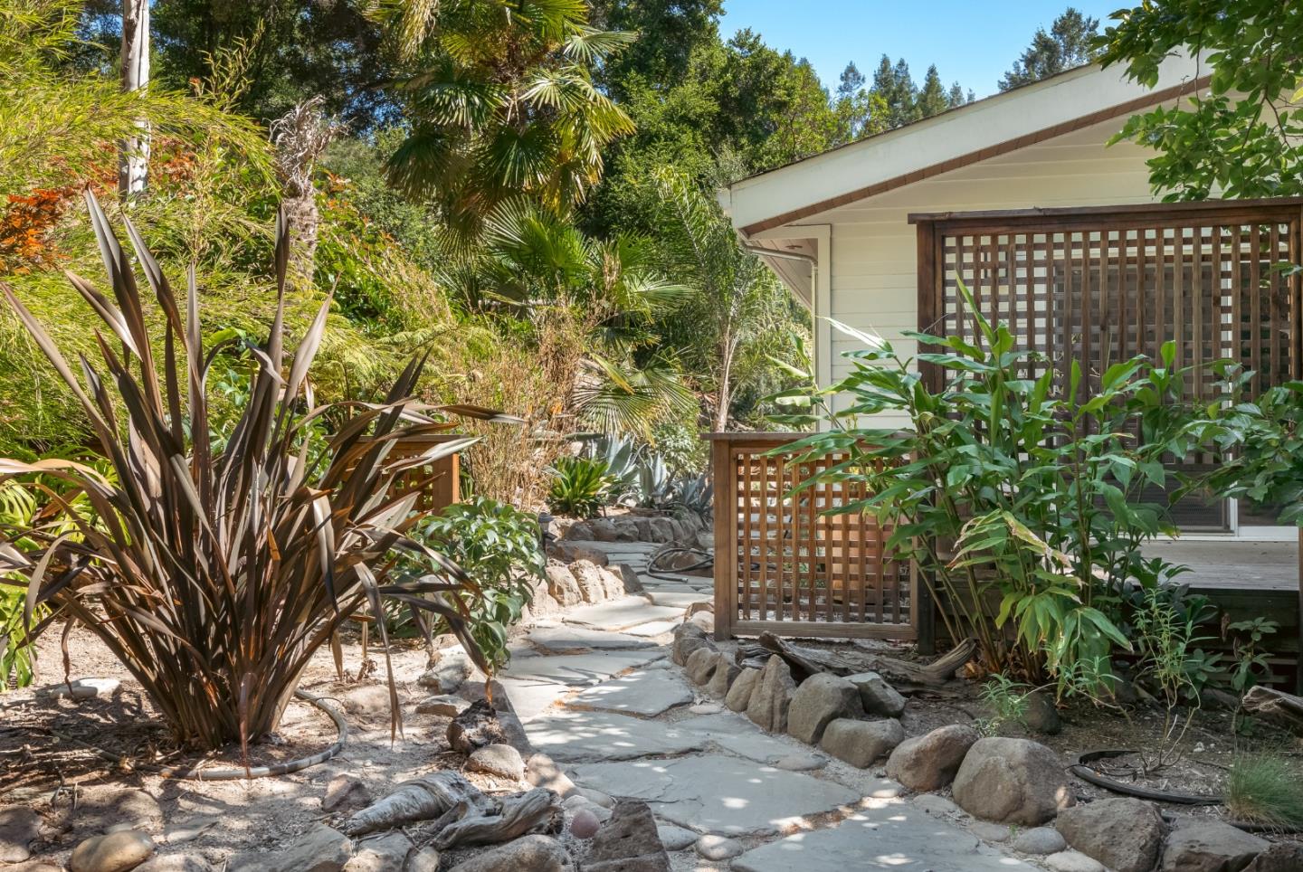 Detail Gallery Image 14 of 43 For 101 Endlich Dr, Santa Cruz,  CA 95060 - 5 Beds | 3/1 Baths