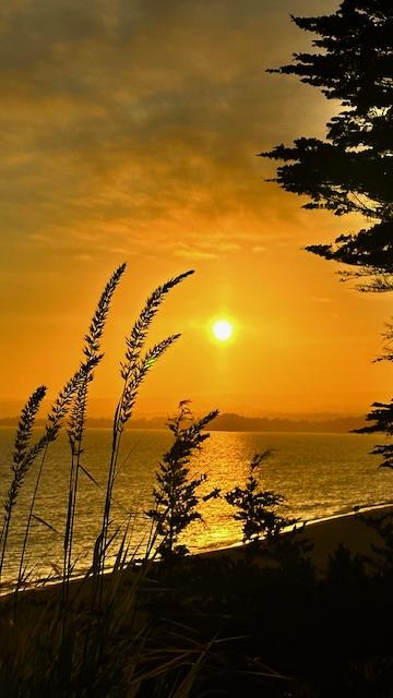 Detail Gallery Image 30 of 35 For 60 Seascape Resort Dr, Aptos,  CA 95003 - 2 Beds | 2 Baths