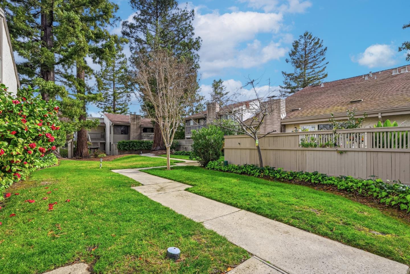 Detail Gallery Image 34 of 49 For 19124 Vineyard Ln, Saratoga,  CA 95070 - 3 Beds | 2/1 Baths