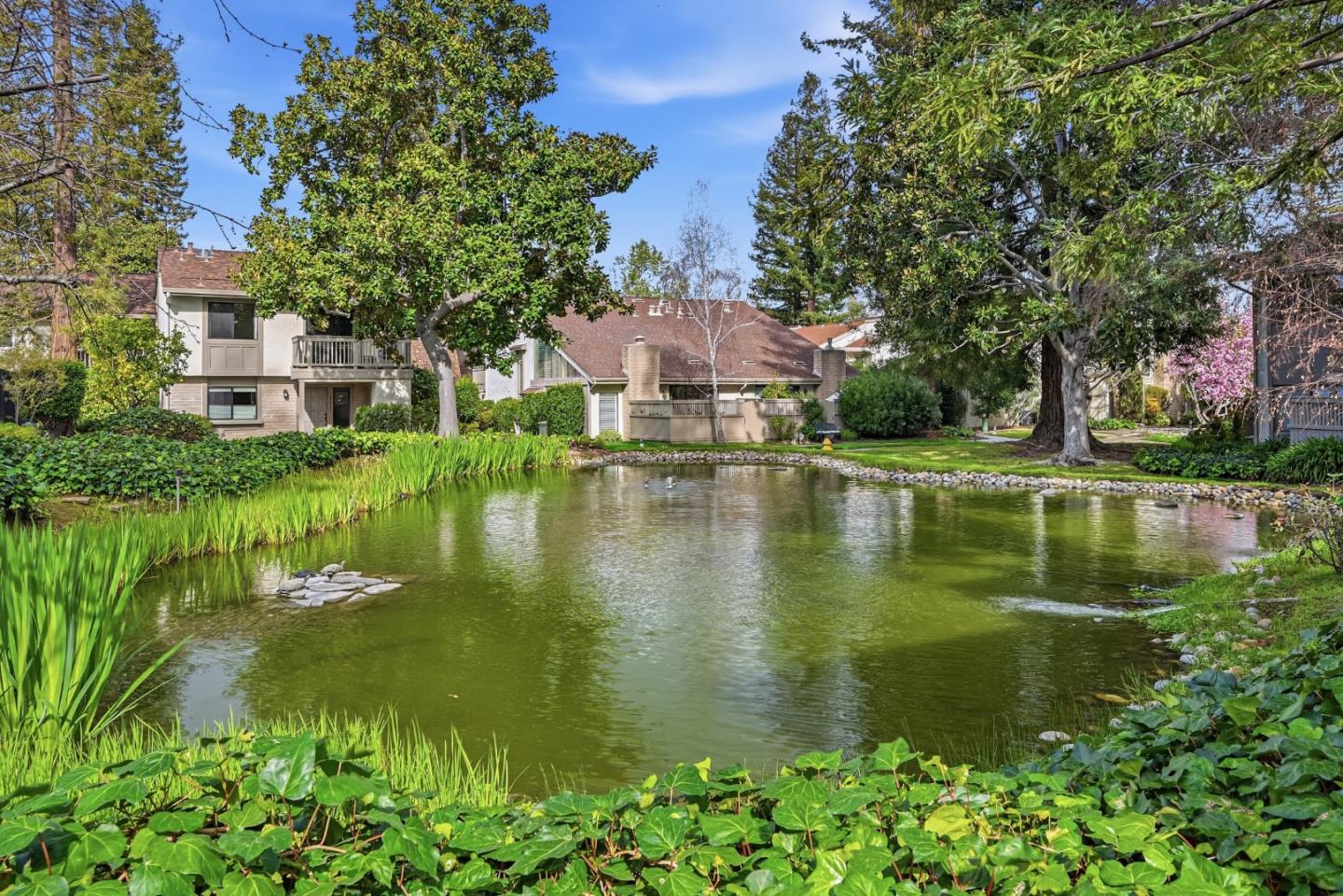 Detail Gallery Image 35 of 49 For 19124 Vineyard Ln, Saratoga,  CA 95070 - 3 Beds | 2/1 Baths