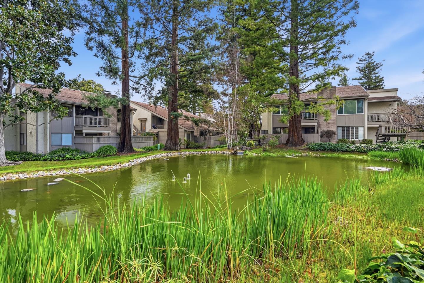 Detail Gallery Image 36 of 49 For 19124 Vineyard Ln, Saratoga,  CA 95070 - 3 Beds | 2/1 Baths