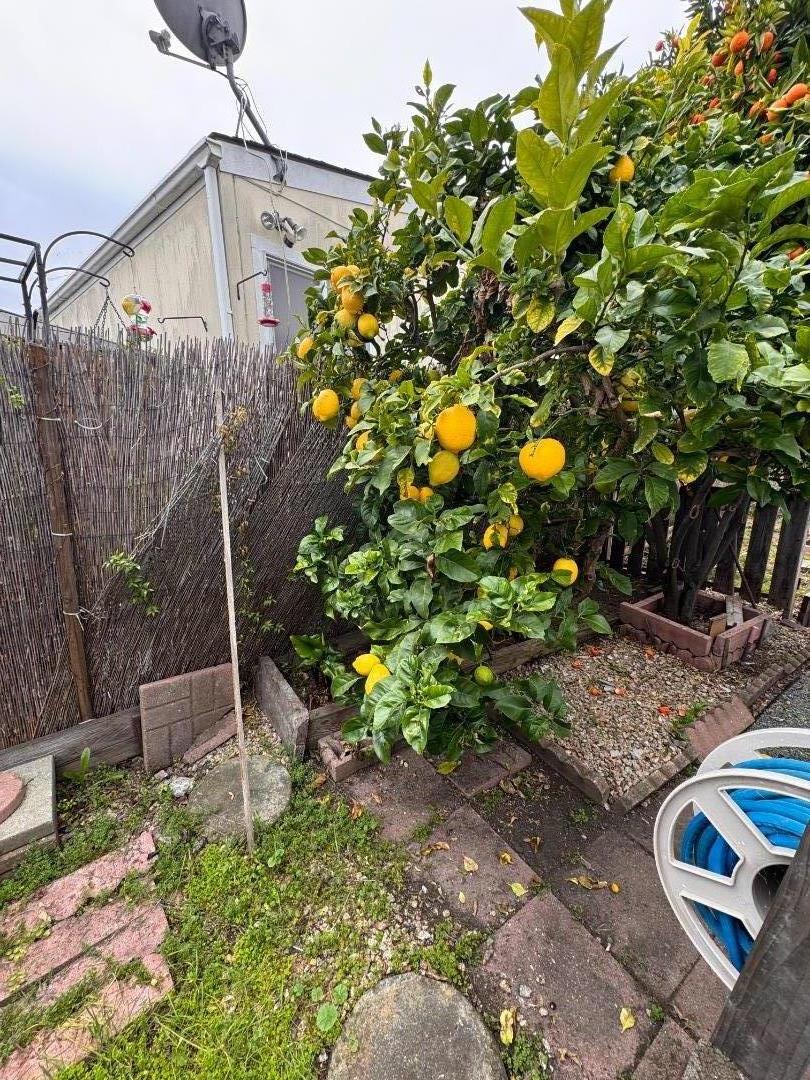 Detail Gallery Image 20 of 22 For 1075 Space Park Way #60,  Mountain View,  CA 94043 - 2 Beds | 2 Baths