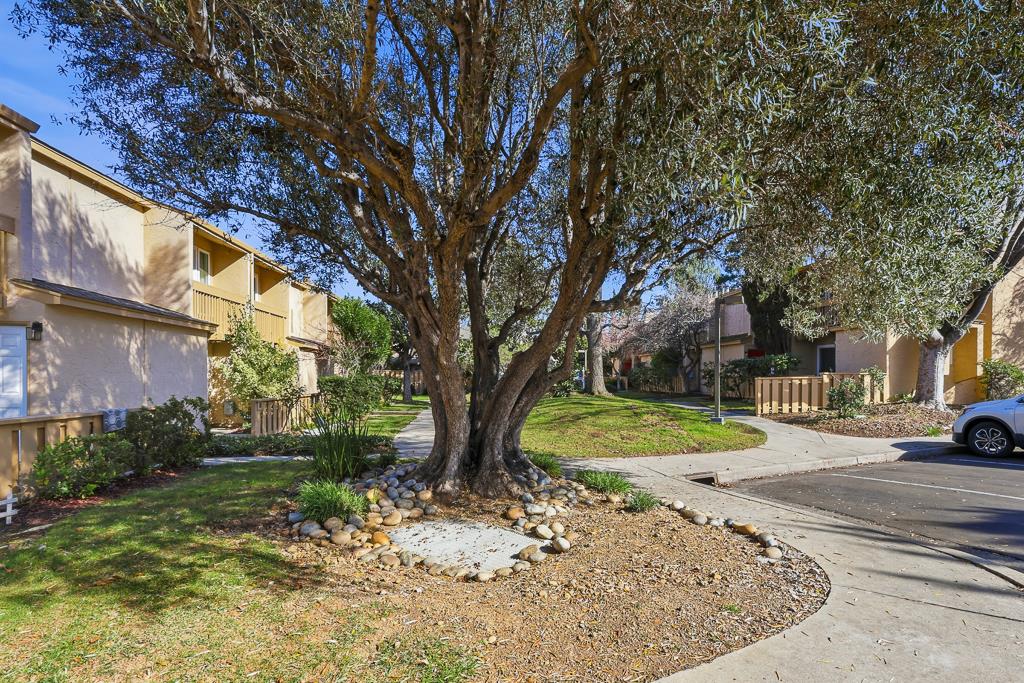 Detail Gallery Image 78 of 78 For 125 Connemara Way #32,  Sunnyvale,  CA 94087 - 2 Beds | 1/1 Baths