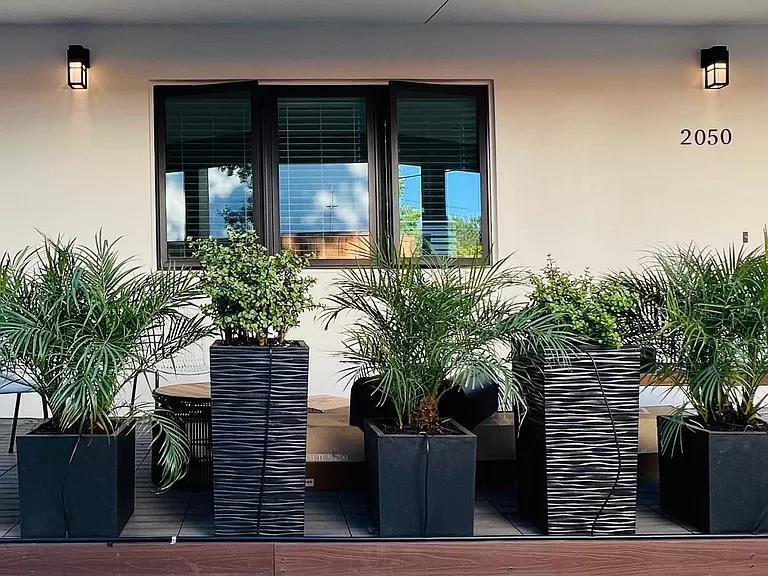 Detail Gallery Image 3 of 44 For 2050 Williams St, Palo Alto,  CA 94306 - – Beds | – Baths