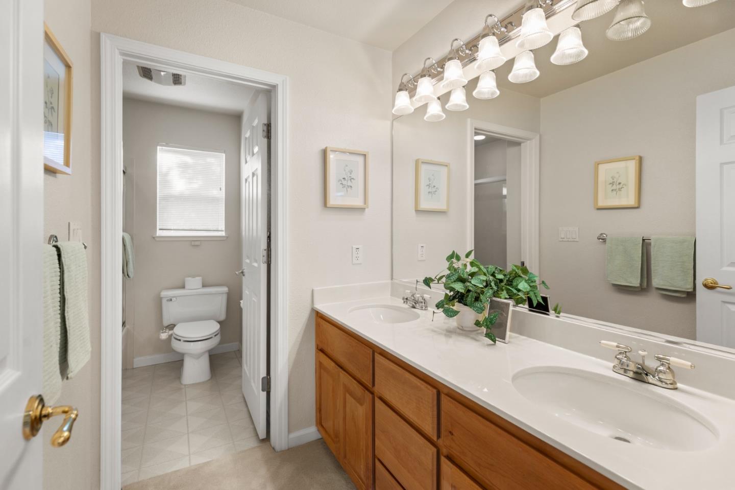 Detail Gallery Image 28 of 50 For 4321 Mackin Woods Ln, San Jose,  CA 95135 - 4 Beds | 2/1 Baths