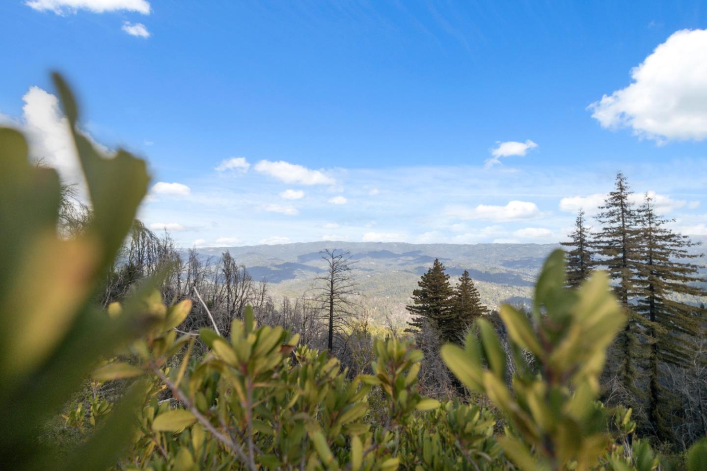 Detail Gallery Image 13 of 32 For 90 Braemoor Dr, Santa Cruz,  CA 95060 - – Beds | – Baths