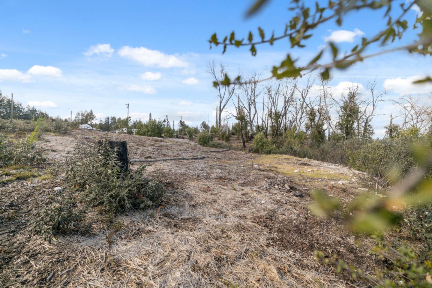 Detail Gallery Image 14 of 32 For 90 Braemoor Dr, Santa Cruz,  CA 95060 - – Beds | – Baths