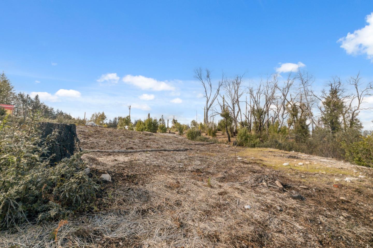 Detail Gallery Image 15 of 32 For 90 Braemoor Dr, Santa Cruz,  CA 95060 - – Beds | – Baths