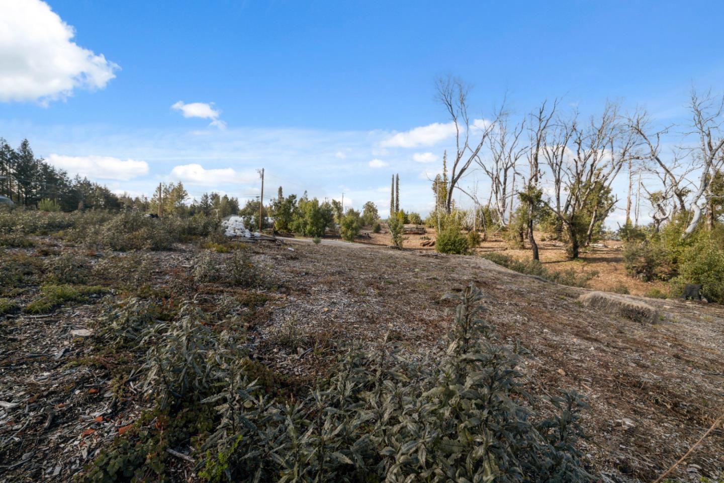 Detail Gallery Image 16 of 32 For 90 Braemoor Dr, Santa Cruz,  CA 95060 - – Beds | – Baths