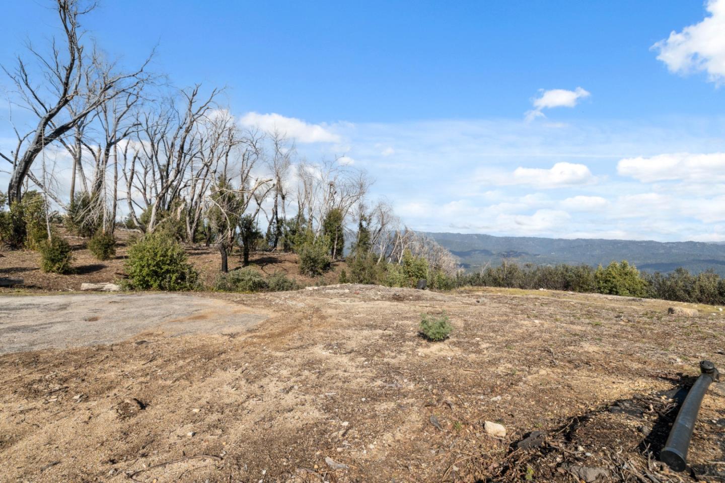 Detail Gallery Image 18 of 32 For 90 Braemoor Dr, Santa Cruz,  CA 95060 - – Beds | – Baths