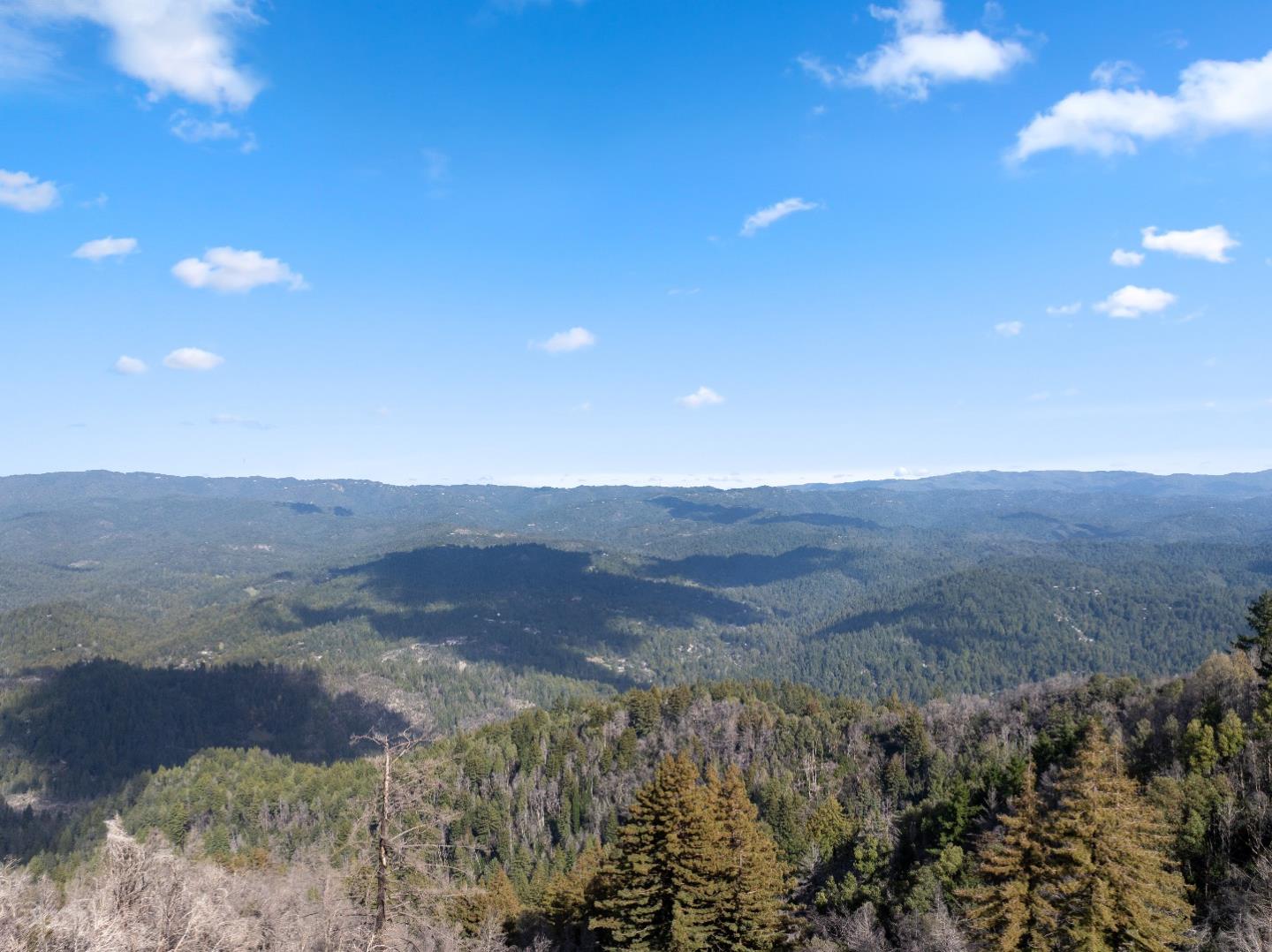 Detail Gallery Image 34 of 38 For 90 Braemoor Dr, Santa Cruz,  CA 95060 - – Beds | – Baths