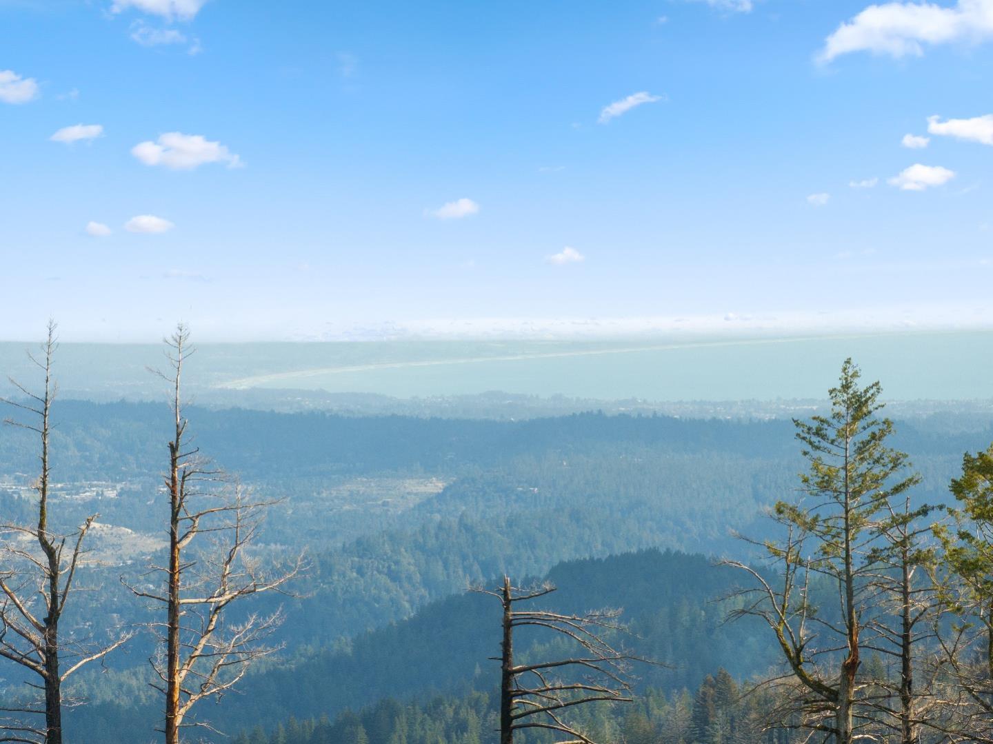 Detail Gallery Image 38 of 38 For 90 Braemoor Dr, Santa Cruz,  CA 95060 - – Beds | – Baths