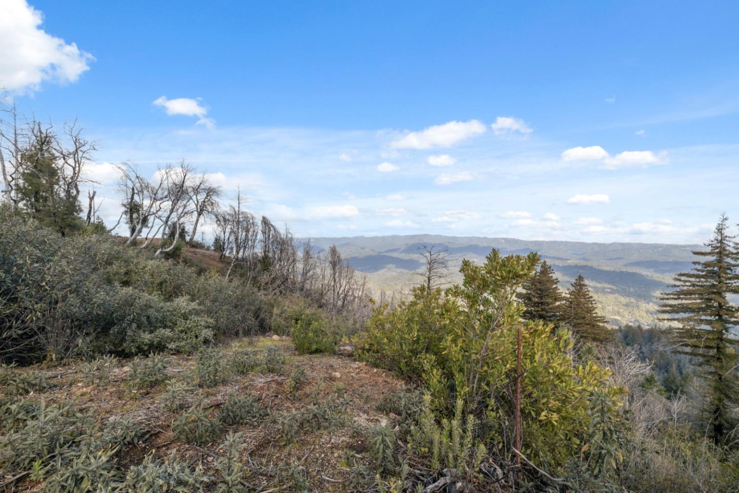 Detail Gallery Image 8 of 32 For 90 Braemoor Dr, Santa Cruz,  CA 95060 - – Beds | – Baths