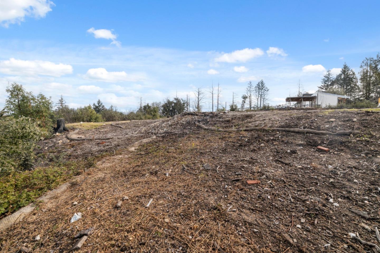 Detail Gallery Image 9 of 32 For 90 Braemoor Dr, Santa Cruz,  CA 95060 - – Beds | – Baths