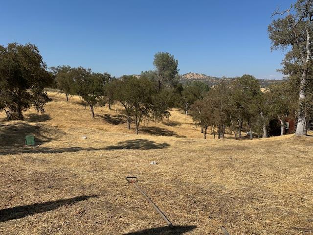 Front Image Thumbnail for ML82035204