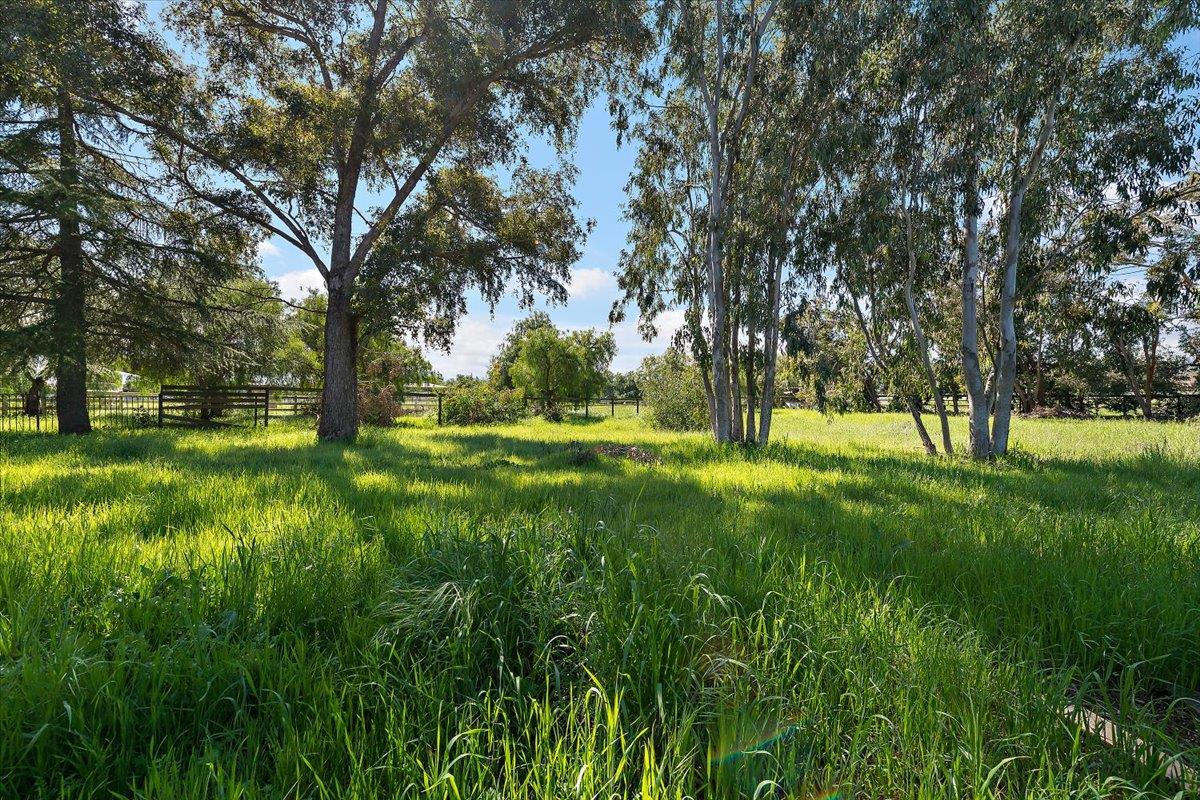 Detail Gallery Image 50 of 51 For 13575 Mammini Ct, San Martin,  CA 95046 - 4 Beds | 3/1 Baths