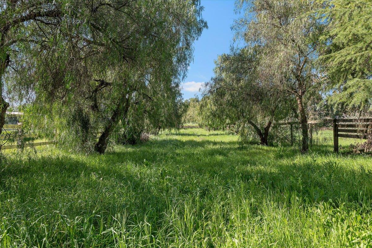 Detail Gallery Image 51 of 51 For 13575 Mammini Ct, San Martin,  CA 95046 - 4 Beds | 3/1 Baths