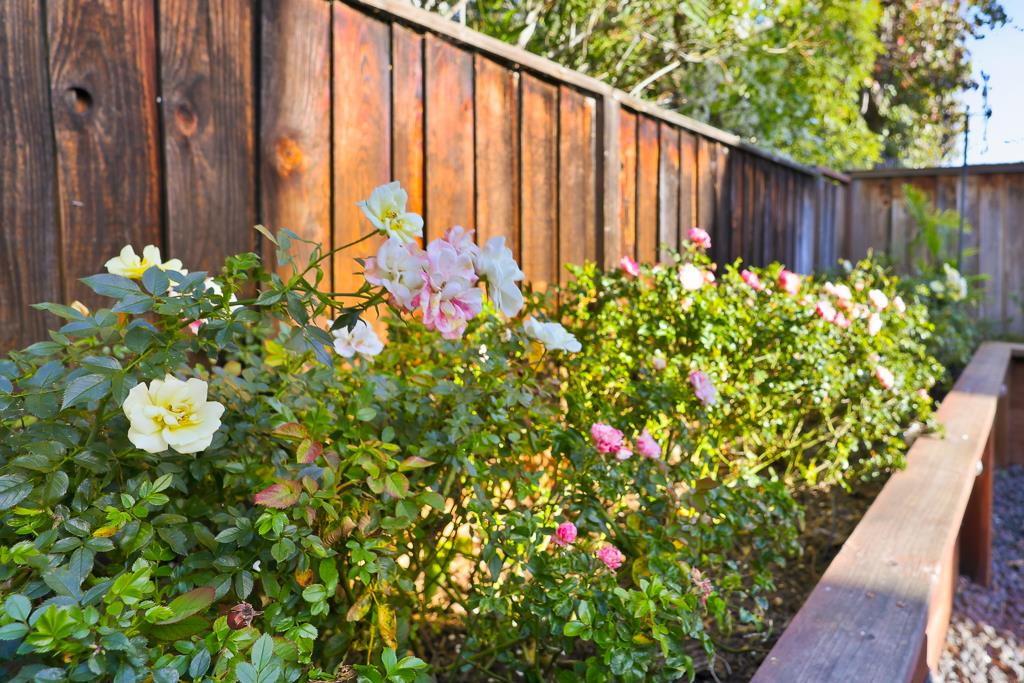 Detail Gallery Image 35 of 53 For 34216 Northwind Ter, Fremont,  CA 94555 - 4 Beds | 2/1 Baths