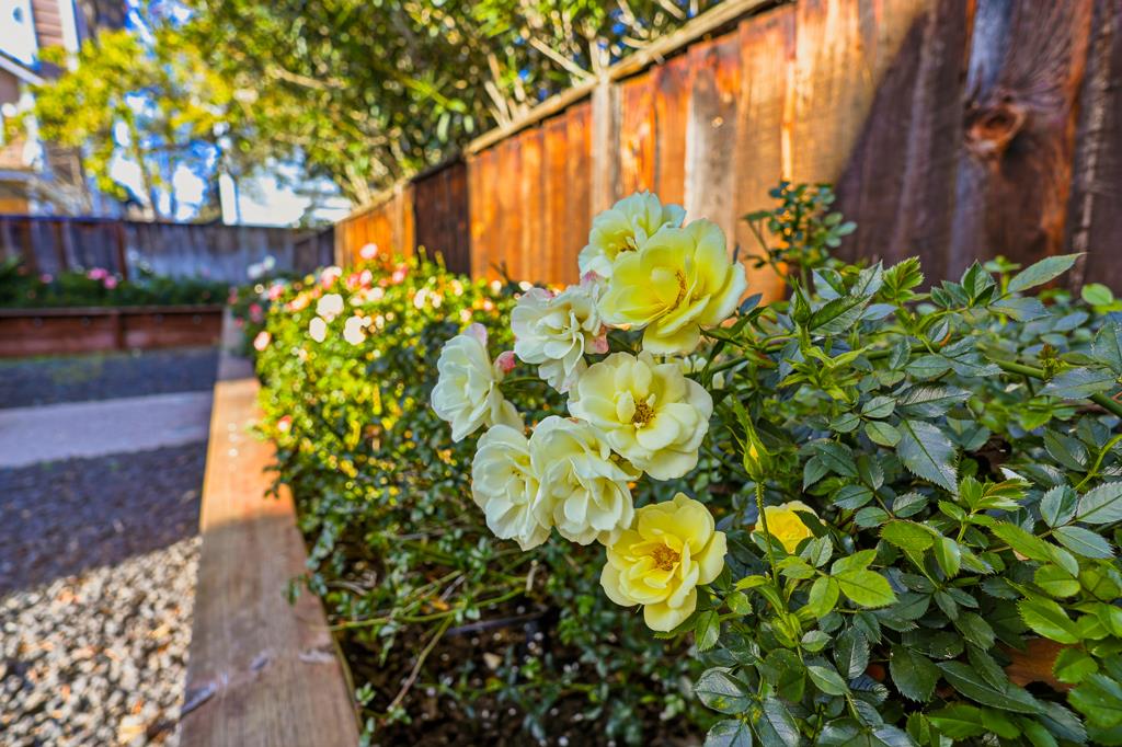 Detail Gallery Image 36 of 53 For 34216 Northwind Ter, Fremont,  CA 94555 - 4 Beds | 2/1 Baths