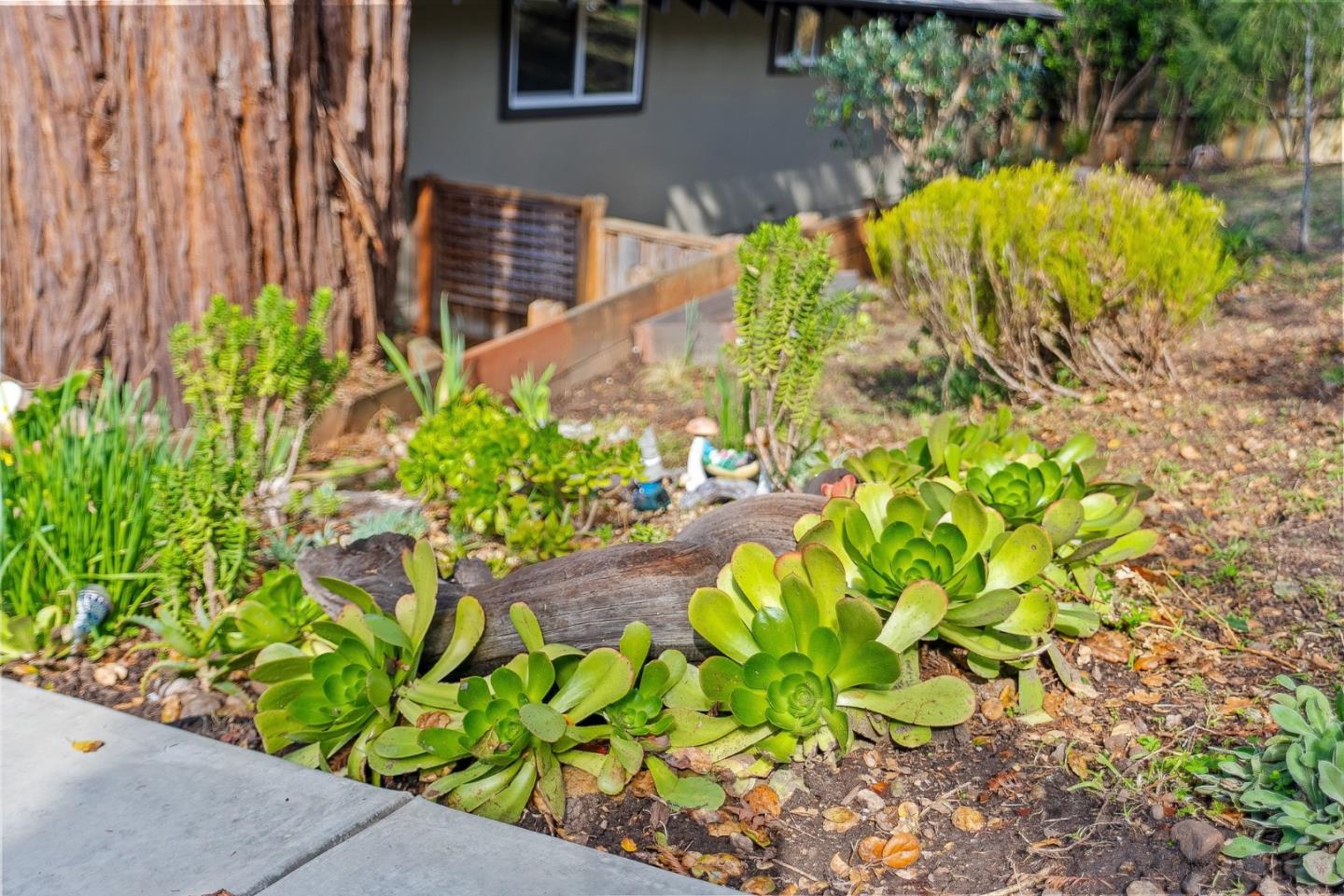 Detail Gallery Image 38 of 47 For 224 El Camino Rd, Scotts Valley,  CA 95066 - 3 Beds | 2 Baths